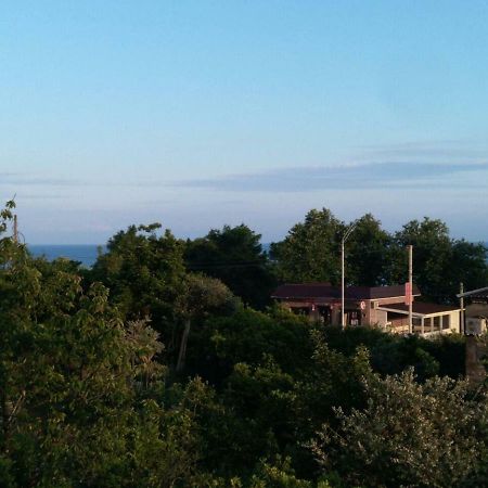 Guest House Nika New Athos Kültér fotó